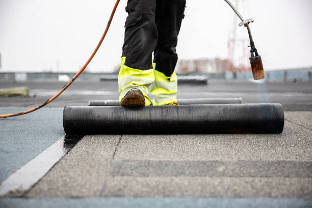 Roof Moss and Algae Removal in Glen Alpine, NC